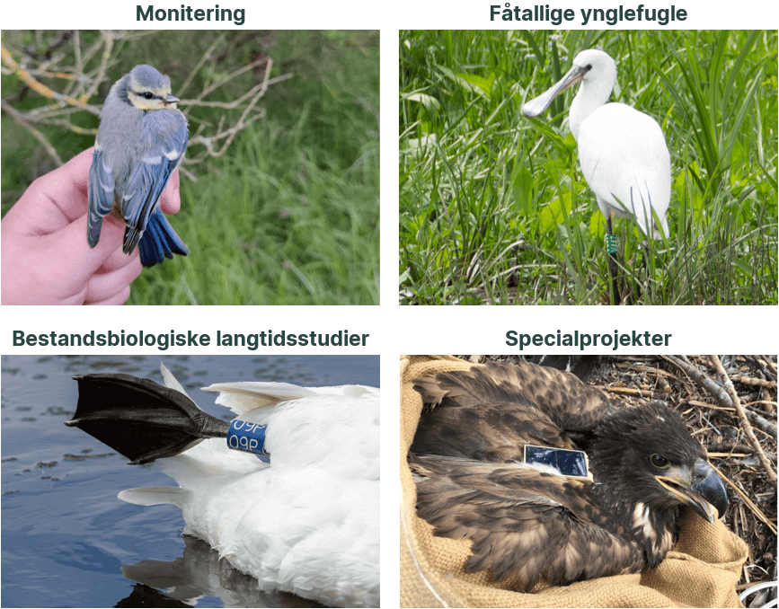 Projektstruktur